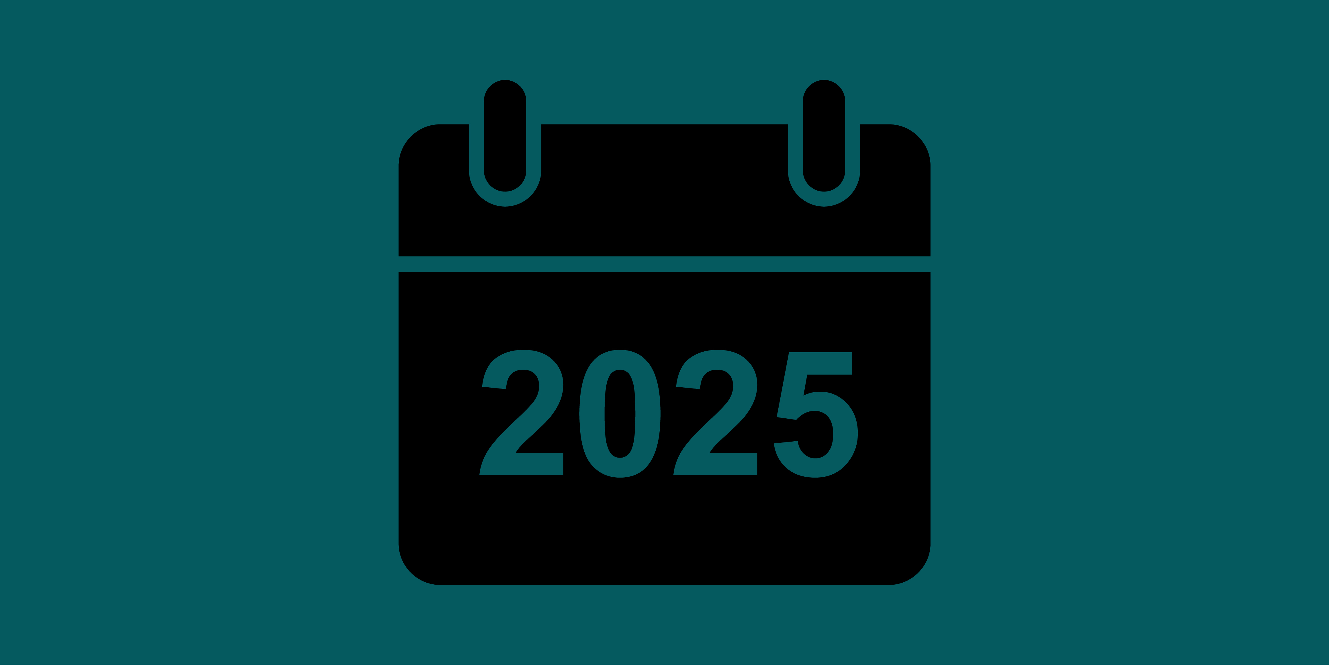 Scheme’s highlights from 2024 and looking forward to 2025 image